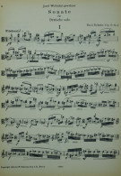 Notenbeispiel / Music example Viola