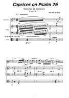 Notenbeispiel / Score example