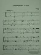 Notenbeispiel / Score example