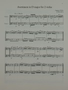 Notenbeispiel / Music example Viola