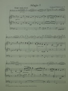 Notenbeispiel / Score example